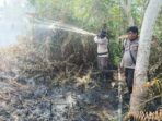 Kapolsek Kuala Kampar AKP Hanova Siagian Pimpin Kegiatan Pemadaman dan Pendinginan Lokasi Kebakaran di Teluk Dalam