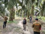 Tim Reskrim Polres Pelalawan Olah TKP Kasus Saridi Korban Mafia Tanah