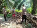 IMG-20240806-WA0013