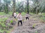 IMG-20240815-WA0012