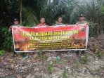 IMG-20250214-WA0008