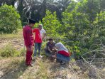 IMG-20250425-WA0013